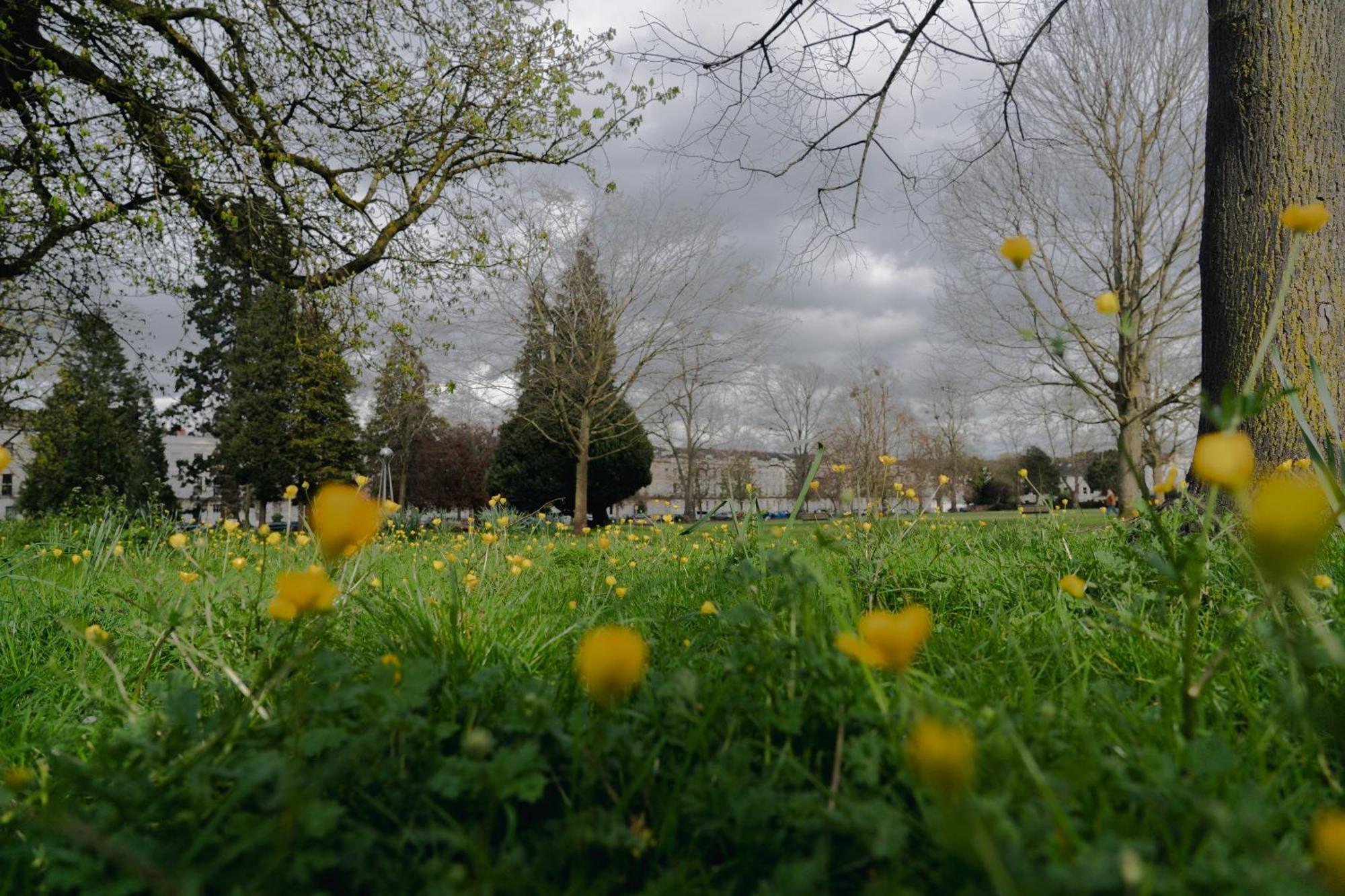 Tunstall House Cheltenham Esterno foto